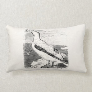 Vintage Albatross Seagull Sea Gull Gulls Seabird Lumbar Pillow