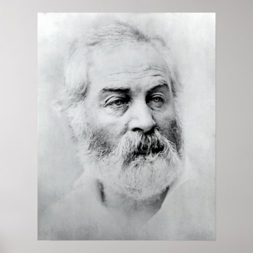 Vintage Alexander Gardner Walt Whitman Portrait Poster