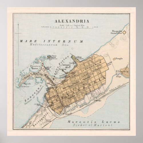Vintage Alexandria Egypt Map 1874 Poster