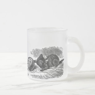 Vintage Alice in Wonderland black cat book drawing Frosted Glass Coffee Mug