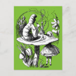 Vintage Alice in Wonderland Centipede Postcard