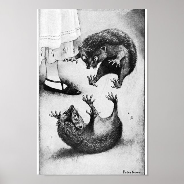 Vintage Alice in Wonderland Illustration Poster (Front)