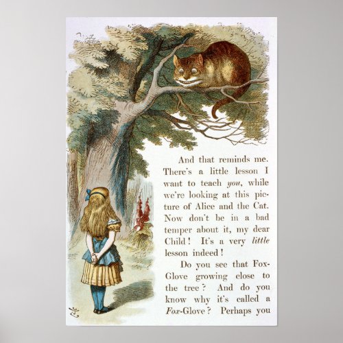 Vintage Alice in Wonderland Illustration Poster