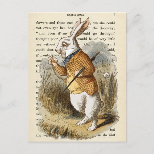 Vintage Alice in Wonderland  Postcard