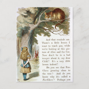 Vintage Alice in Wonderland  Postcard