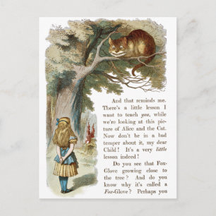 Vintage Alice in Wonderland Postcard