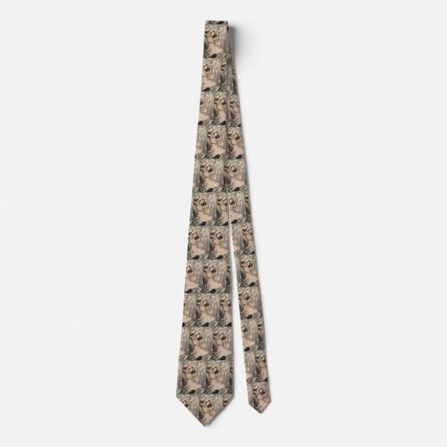 Vintage Alices Adventures in Wonderland by Rackham Neck Tie