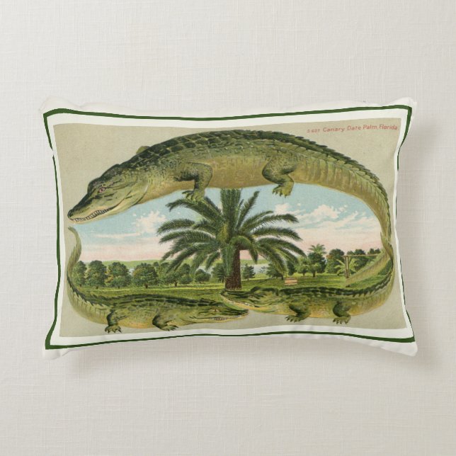 Vintage Alligator Postcard Accent Pillow (Front)