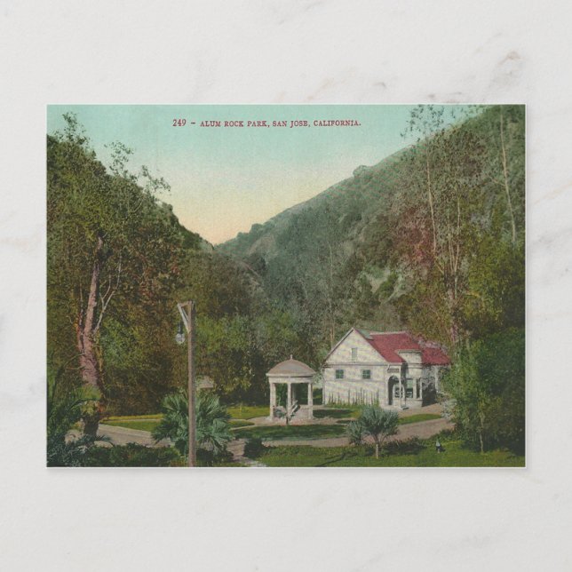 Vintage Alum Rock Park California Postcard (Front)