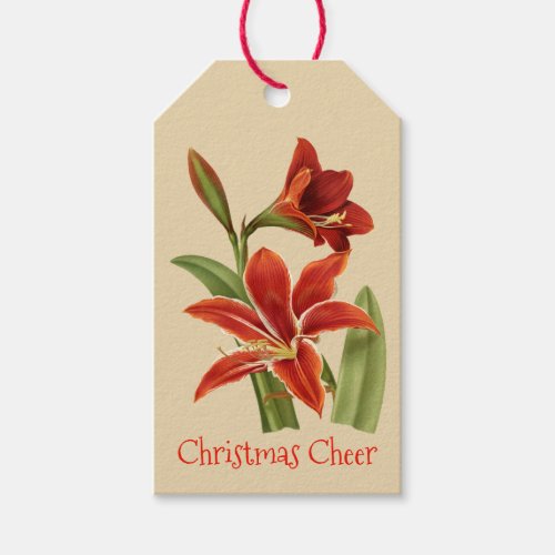 Vintage Amaryllis Christmas Cheer Gift Tags