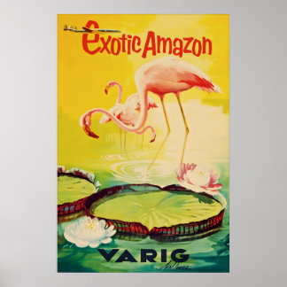 Vintage Amazon Brazil Travel Poster Print Exotic