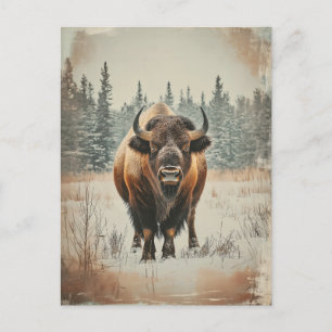 Vintage American buffet Bison in winter Postcard