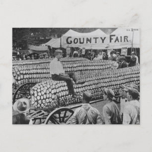 Vintage American County Fair Postcard