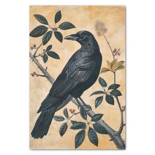 Vintage American Crow Illustration Decoupage Tissue Paper