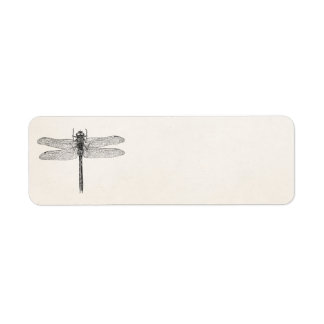 Vintage American Dragonfly Dragon Fly Template Label