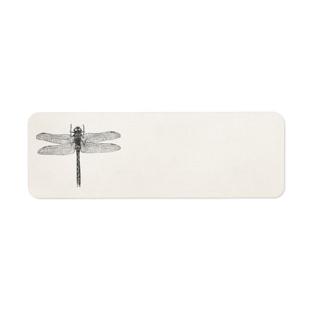 Vintage American Dragonfly Dragon Fly Template Label (Front)