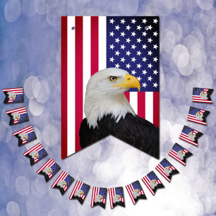 Vintage American Flag, Eagle bunting Patriot Party Bunting Flags