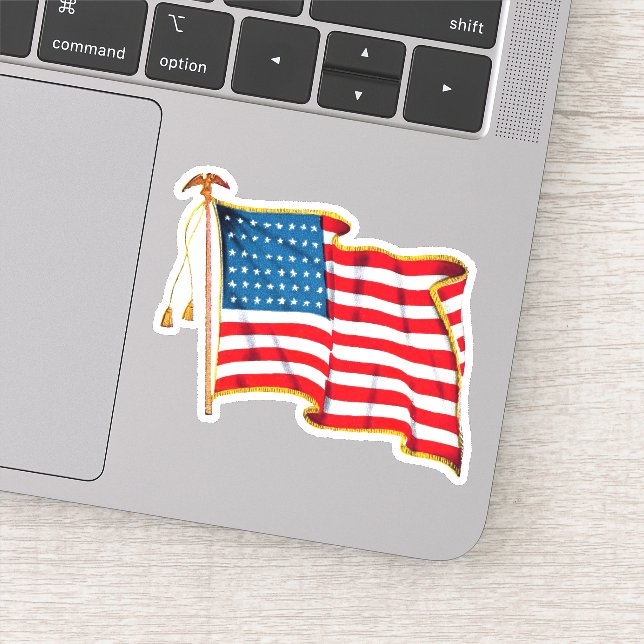 Vintage American Flag Sticker (Detail)