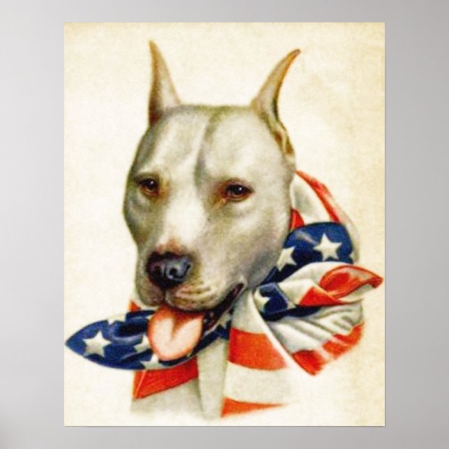 Vintage American Patriotic Pit Bull Dog War Poster (Front)