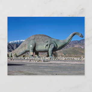 Vintage American Scenery Postcard