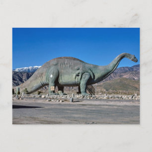 Vintage American Scenery Postcard