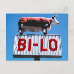 Vintage American Scenery Postcard