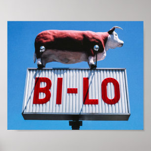 Vintage American Scenery Poster