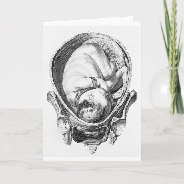 Vintage Anatomical Baby Fetus Greeting Card (Front)