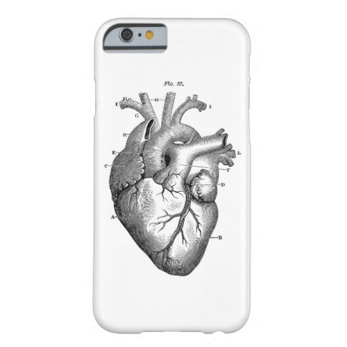 Vintage Anatomical Drawing Human Heart Barely There iPhone 6 Case