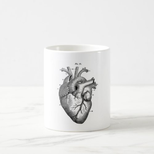 Vintage Anatomical Drawing Human Heart Coffee Mug