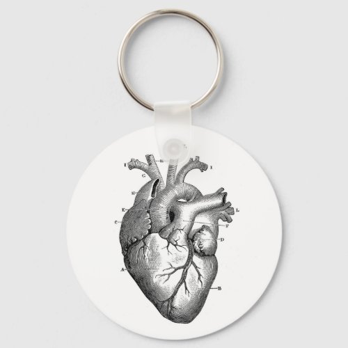 Vintage Anatomical Drawing Human Heart Keychain