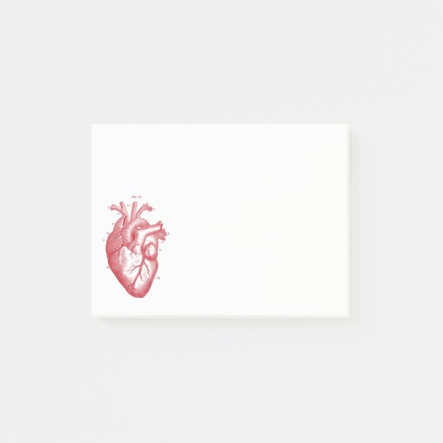 Vintage Anatomical Drawing Human Heart Post-it Notes (Front)