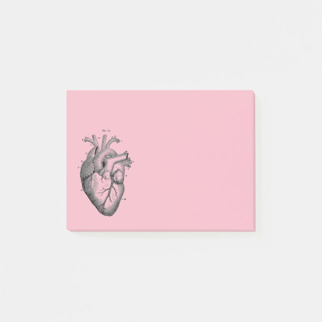 Vintage Anatomical Drawing Human Heart Post-it Notes (Front)