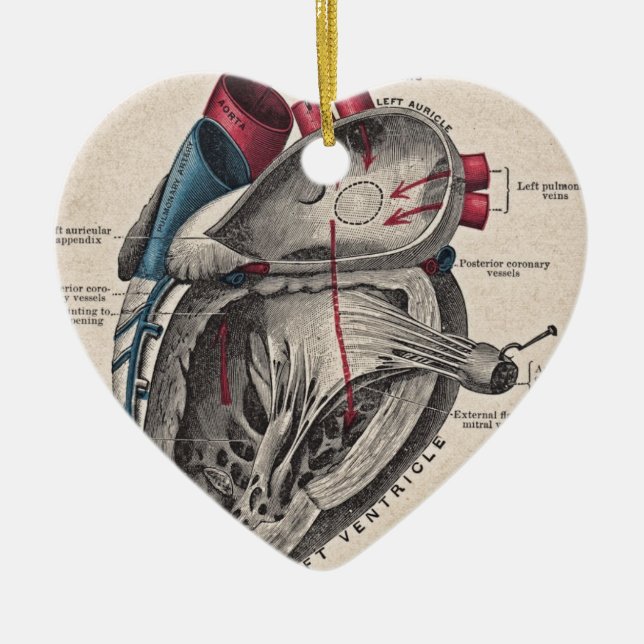 Vintage Anatomical Heart Ceramic Ornament (Front)