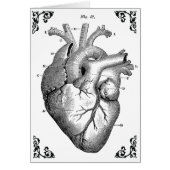 Vintage Anatomical Heart Diagram Gothic Card (Front)