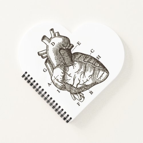 Vintage Anatomical Heart Drawing Heart Shaped Notebook