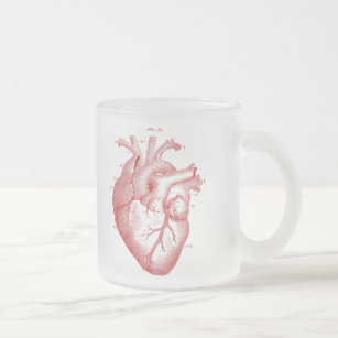 Vintage Anatomical Heart Frosted Glass Mug