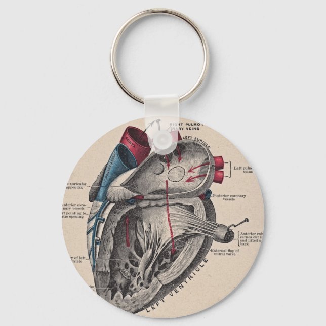 Vintage Anatomical Heart Keychain (Front)