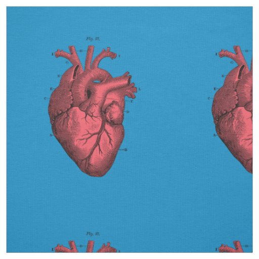 Vintage Anatomical Heart Valentine’s Day Fabric