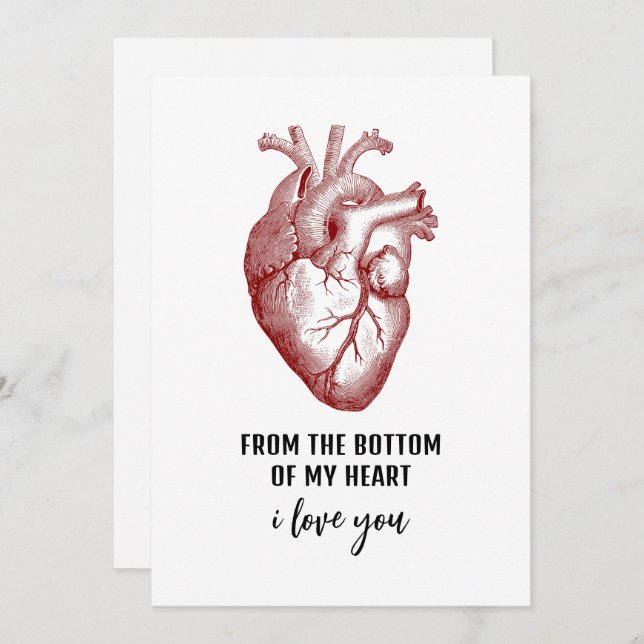 Vintage Anatomical Heart Valentine's Day Card (Front/Back)