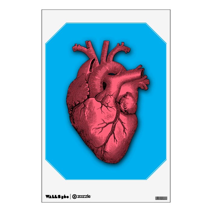 Vintage Anatomical Heart Wall Decor Sticker Zazzle Com
