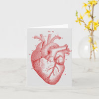 Vintage Anatomical Human Heart Note Card