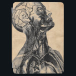 Vintage Anatomical Illustration of the Upper Body iPad Air Cover<br><div class="desc">Beautiful & cool antique illustration art of human anatomy of head and neck. A cool gift for doctors,  nurses and medical students or anatomy art lovers.</div>