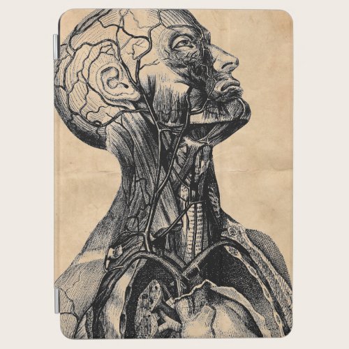 Vintage Anatomical Illustration of the Upper Body iPad Air Cover