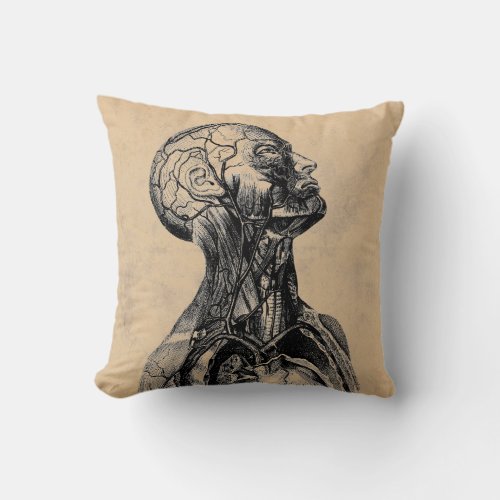 Vintage Anatomical Illustration of the Upper Body Throw Pillow