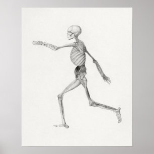 Vintage Anatomical Illustration Poster