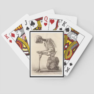 Vintage Anatomical Skeleton Playing Card Deck