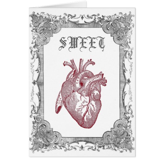 Vintage Anatomical Sweetheart Card (Front)
