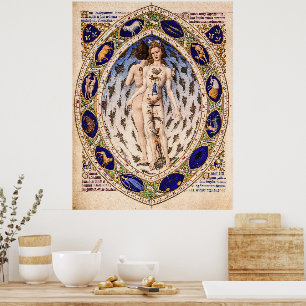 Vintage Anatomical Zodiac Man Poster