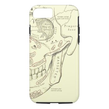 Vintage Anatomy Anterolateral Region Of The Skull Iphone 8/7 Case by vintage_anatomy at Zazzle